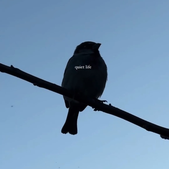 Meet your Posher, Jo anne - Picture 1 of 1